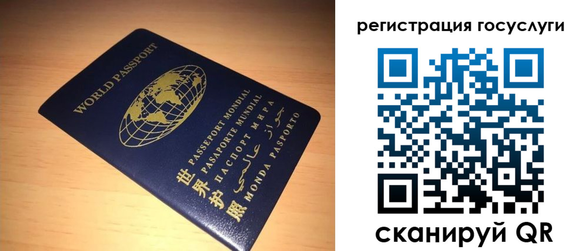 прописка иностранных граждан в Мурманской области