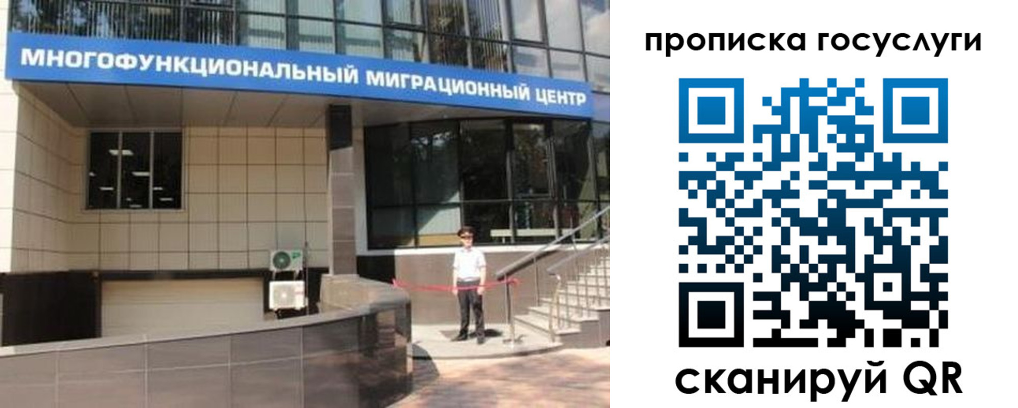 временная регистрация 2025 в Мурманской области